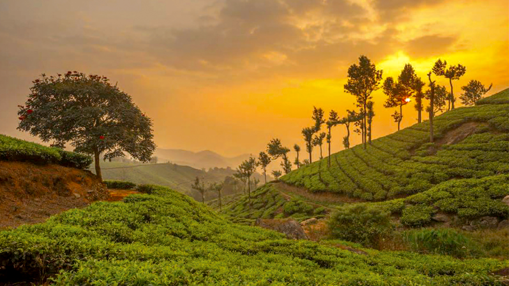 Munnar